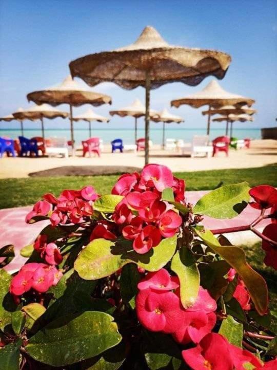 Hotel Casablanca For Families Only Hurghada